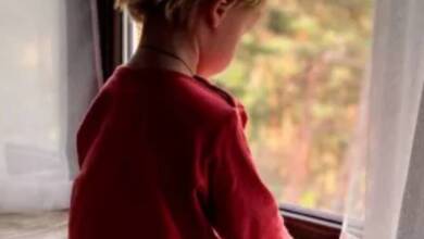 Una terapia genética ya salvó a 59 niños con enfermedad burbuja