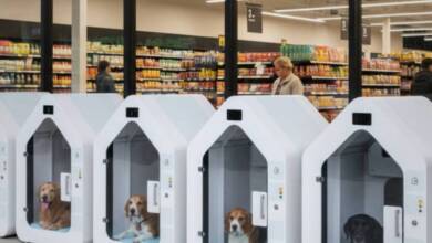 Alemania innova con cabinas inteligentes para que los perros esperen a sus dueños afuera de supermercados -