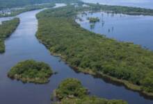 Colombia declaró a su Amazonia libre de petróleo y minería