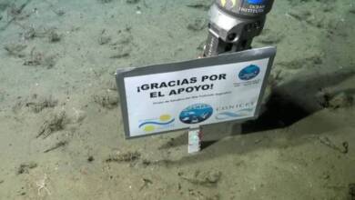 Conicet anunció la tercera expedición marina