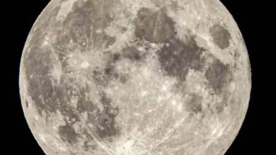 Esta noche será la Superluna del Castor: a qué hora y cómo verla