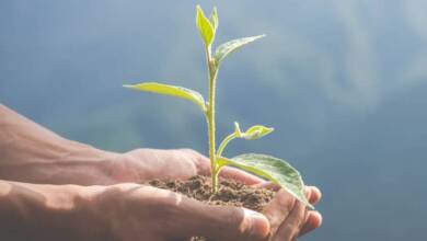 2025 en Notify: Ambiente