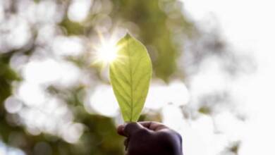 2025 en Notify: Ente Bio Córdoba