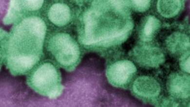 Avanza la súper gripe H3N2 y recomiendan aplicarse la vacuna