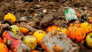 Cada argentino desperdicia, en promedio, 72 kg de comida por año