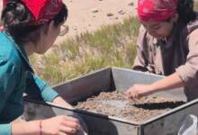 Descubrieron evidencia de ocupación humana de hace 12 mil años en una provincia argentina