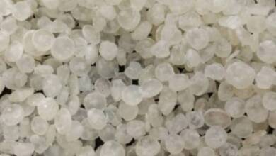 El CONICET desarrolla bolsas biodegradables con almidón de mandioca