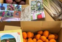 Japón añade los rostros de los agricultores en los cajones de frutas y verduras