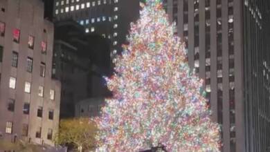 Se encendió el árbol de Navidad del Rockefeller Center