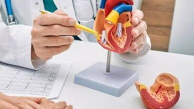 El CONICET impulsa el desarrollo de un marcapasos de nueva generación