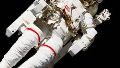 El sistema inmunitario de los astronautas se altera en el espacio