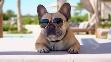 Google presentó una IA que convierte fotos en videos para redes sociales