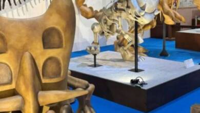 Japón inauguró un Museo de Fósiles PokémonJapón inauguró un Museo de Fósiles Pokémon