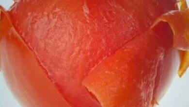 Los restos de los tomates podrían servir como combustible para los aviones