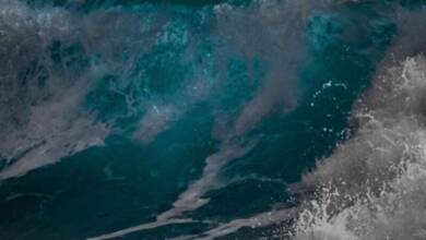 Los satélites registran olas de la altura del Arco de Triunfo