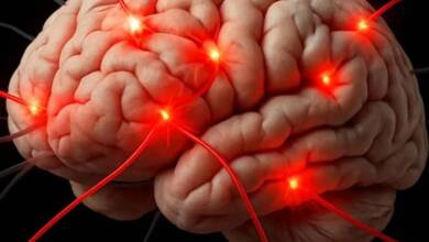 Memoria invisible: por qué el dolor persiste cuando una lesión ya sanó