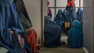 El nuevo código penal de Afganistán castiga más el maltrato animal que la violencia contra mujeres