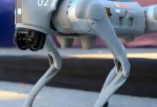 México incorporará perros robot en el Mundial 2026