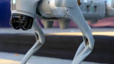 México incorporará perros robot en el Mundial 2026