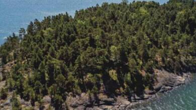 Una isla de lujo en Finlandia acepta sólo a mujeres