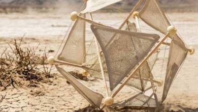 China desarrolla una “bola rodante” para combatir la desertificación