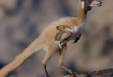 Descubrieron en Argentina restos de un dinosaurio diminuto