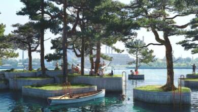 Dinamarca: Islas flotantes con flores transforman puertos urbanos en refugios de biodiversidad