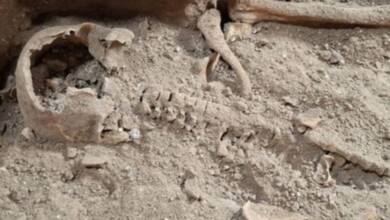 Hallazgo en Países Bajos: un esqueleto podría pertenecer al cuarto mosquetero