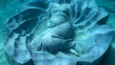 ‘Ocean Gaia’: la impresionante escultura submarina que fusiona arte y naturaleza