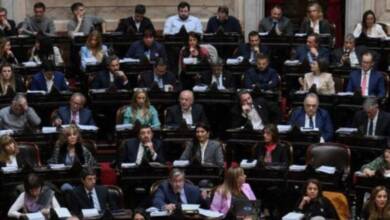 Una plataforma permite revisar cómo votó cada legislador argentino desde 1993