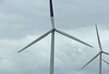 Cómo pintar un aspa de los molinos de viento ayuda a proteger la biodiversidad