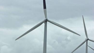 Cómo pintar un aspa de los molinos de viento ayuda a proteger la biodiversidad