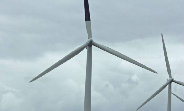 Cómo pintar un aspa de los molinos de viento ayuda a proteger la biodiversidad
