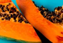 Estudiantes crean un anticonceptivo masculino a base de papaya