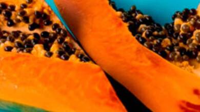 Estudiantes crean un anticonceptivo masculino a base de papaya