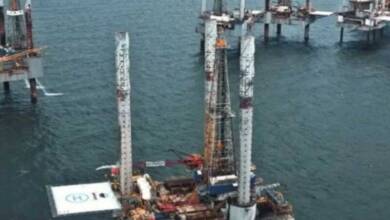 Se reactivan perforaciones en el Golfo de México y preocupa el futuro de una especie en peligro crítico